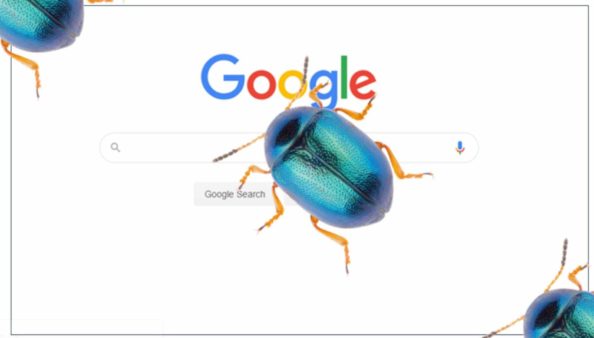 google-bug-1920