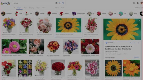 google-images-search-redesign-featured